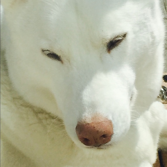 Meet your Posher, Karen - Picture 1 of 1